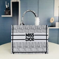 Christian Dior Shopping Bags